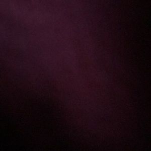 Meet your Posher, Tiera